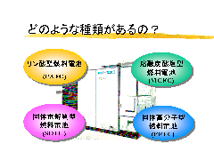 �ǂ̂悤�Ȏ�ނ�����́H